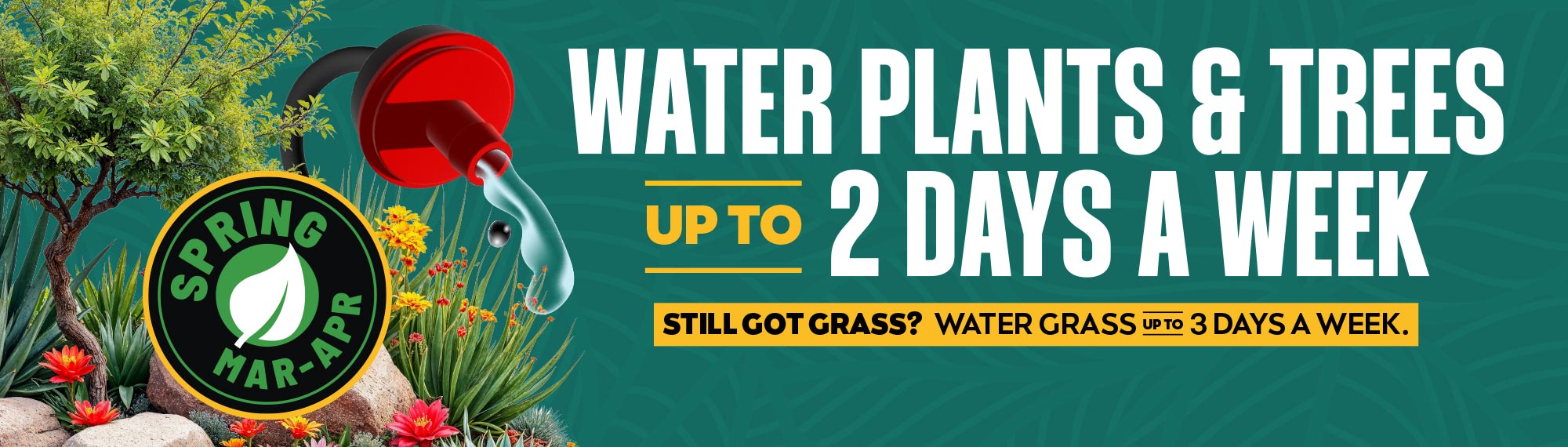 Water plants and trees up to 2 days a week