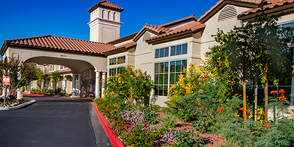 Desert-friendly landscaping in front of business